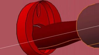 Red VAGINA Interior Fuck and BIGG Black Gray Penis - porn video